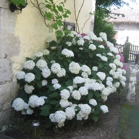 Lareignas Bed and breakfast Douzillac
